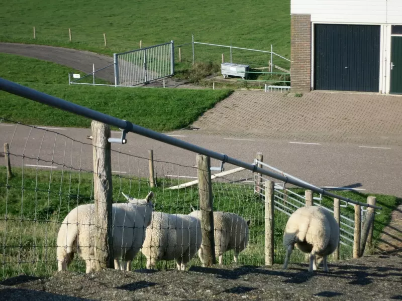 Oosterend (c) Markus Lenk